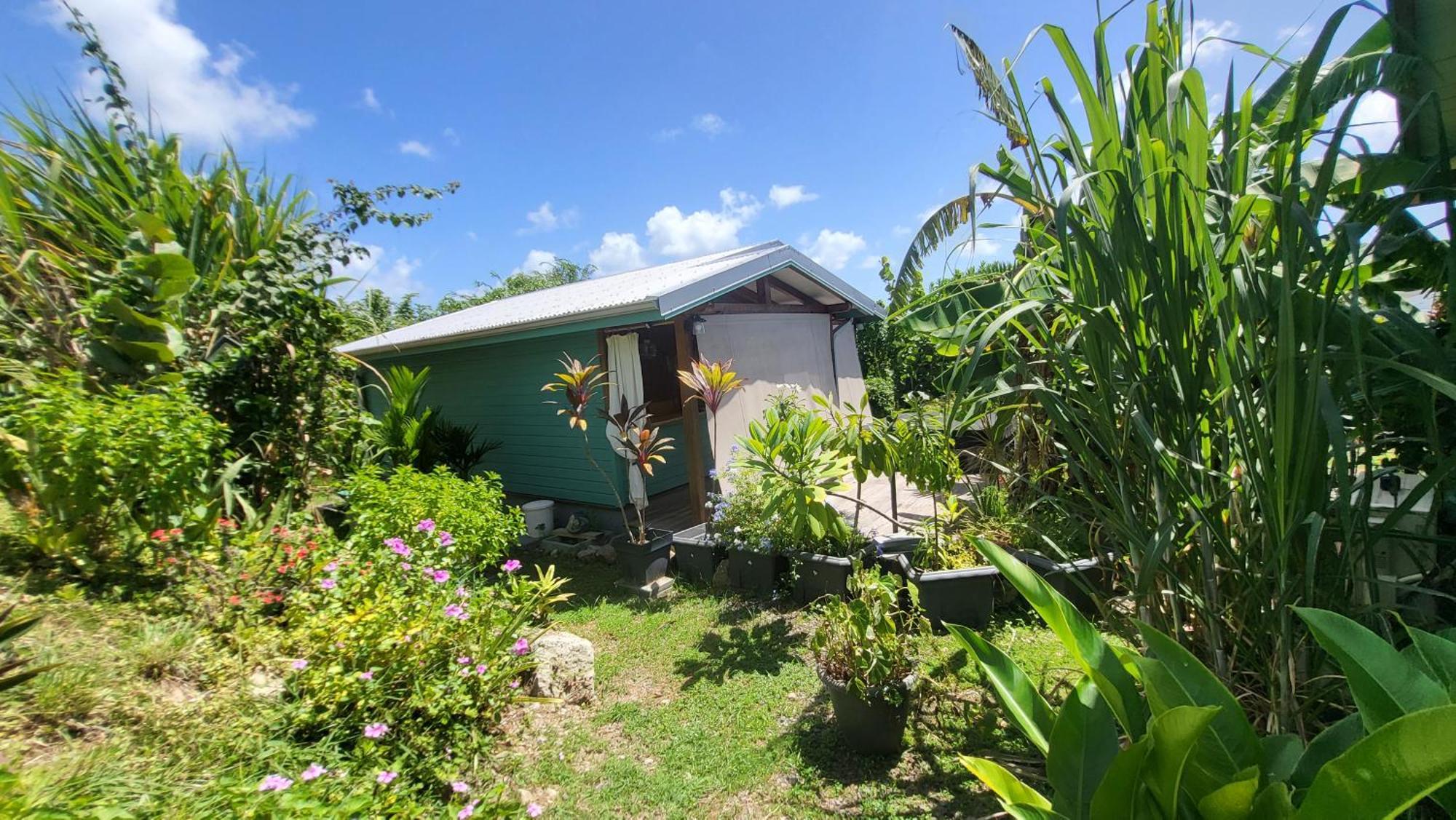 Bungalows Ti Lodge Martinique - Pres De La Plage Avec Jacuzzi Prive Sainte-Luce Exterior photo